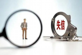 图们为什么选择专业追讨公司来处理您的债务纠纷？